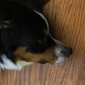 Meet your Posher, Nancy